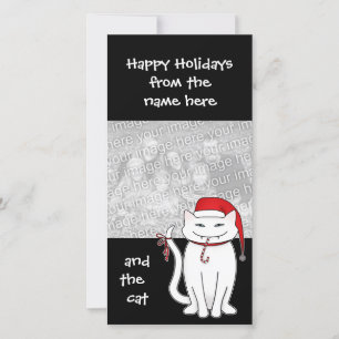 Christmas white bratty kitty holiday family card