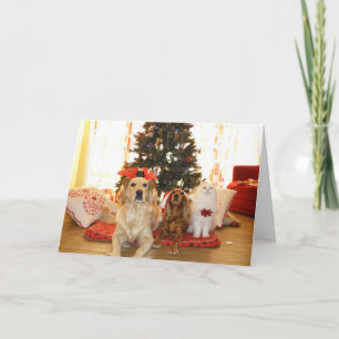 Christmas White Cat with Dogs   Christmas Tree Holiday Card