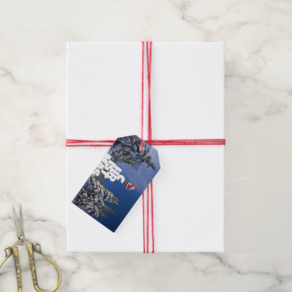 Christmas winter landscape gift tags