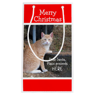 Christmas Wishes Orange Tabby Gift Bag