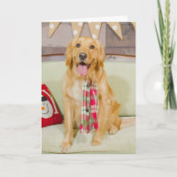 Christmas with Lily Chanel