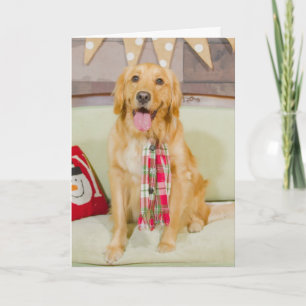 Christmas with Lily Chanel Holiday Card