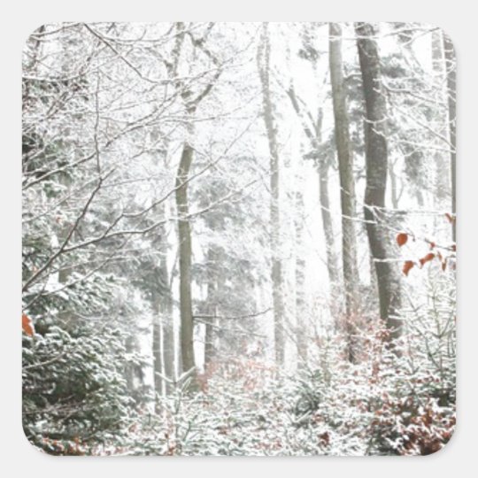 Christmas Woodland Square Sticker