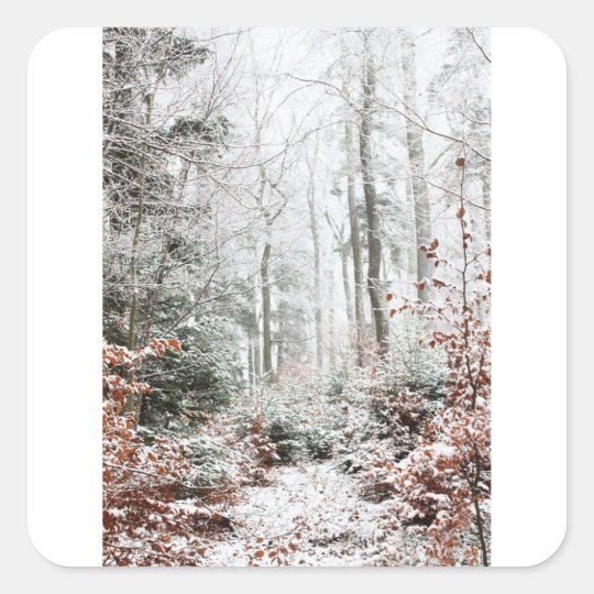 Christmas Woodland Square Sticker