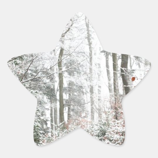 Christmas Woodland Star Sticker