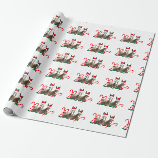 Christmas wrapping paper, wildlife, donkeys paper