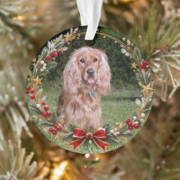 Christmas Wreath Custom Pet Photo Ornament