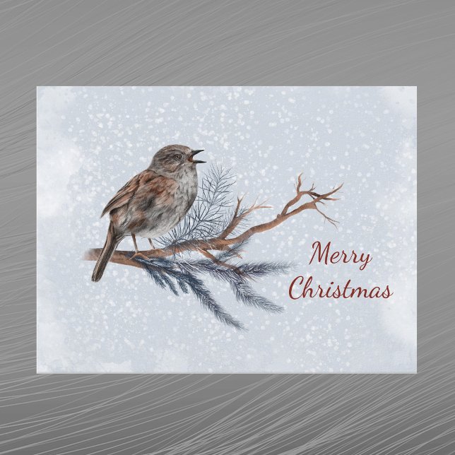 Christmas Wren Pine Boughs Watercolor Holiday Postcard (Creator Uploaded)