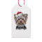 Christmas Yorkie  
