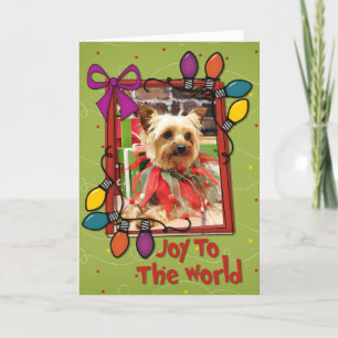 Christmas - Yorkie - Kinsey Holiday Card