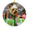 Christmas - Yorkie - Willie