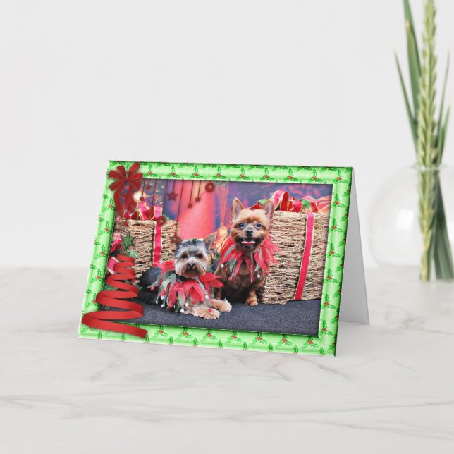 Christmas - Yorkshire Terrier - Chloe and Rocky Holiday Card (Front)