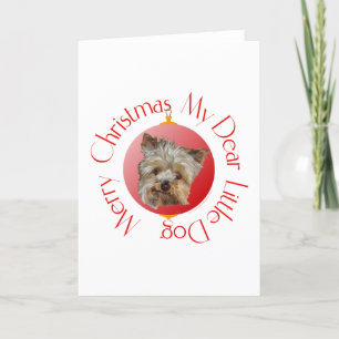 Christmas Yorkshire Terrier Holiday Card