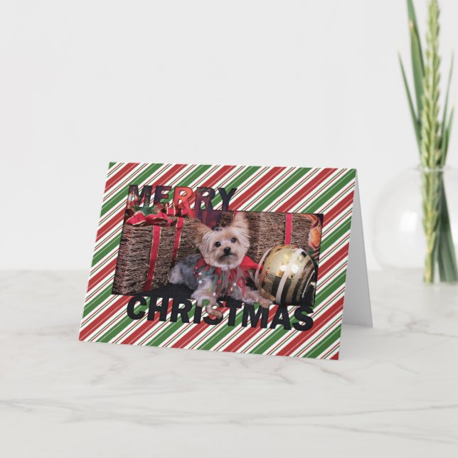 Christmas - Yorkshire Terrier - Vinnie Holiday Card (Front)