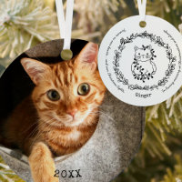Christmastime Cat Pet Memorial Photo