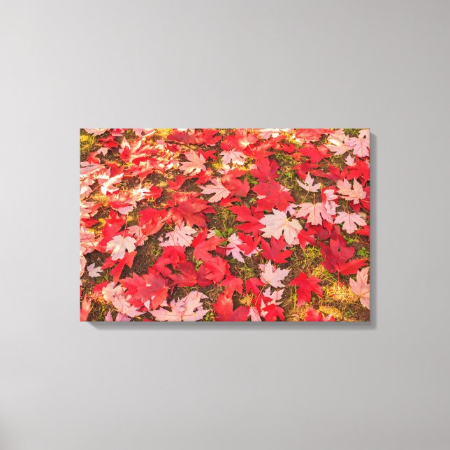 chromatic magic of the autumn  on wrapped canvas (Front)