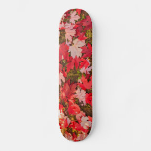 chromatic magic of the autumn  Skateboards