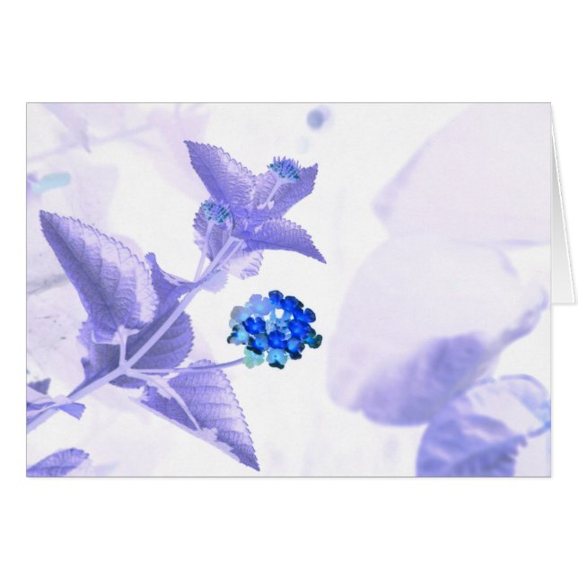 CHROMATOGRAPHIE GAZEUSE de communication (Devant horizontal)