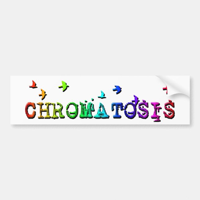 chromatosis : rainbow birds : bumper sticker (Front)