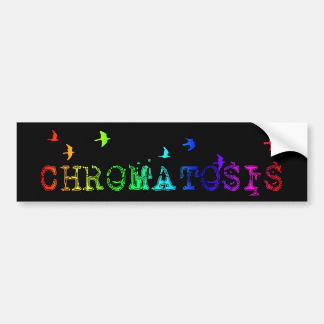chromatosis : rainbow birds : bumper sticker (Front)