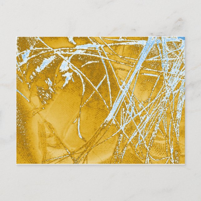 chrome fabric postcard (Front)