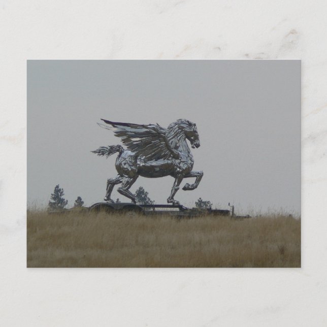 Chrome horse postcard (Front)