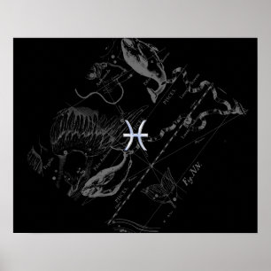 Chrome like Pisces Zodiac Sign on Hevelius 1690