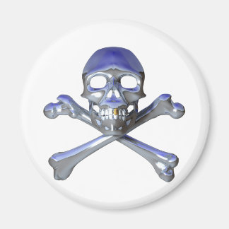 Chrome skull and crossbones magnet