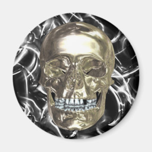 Chrome Skull Magnet