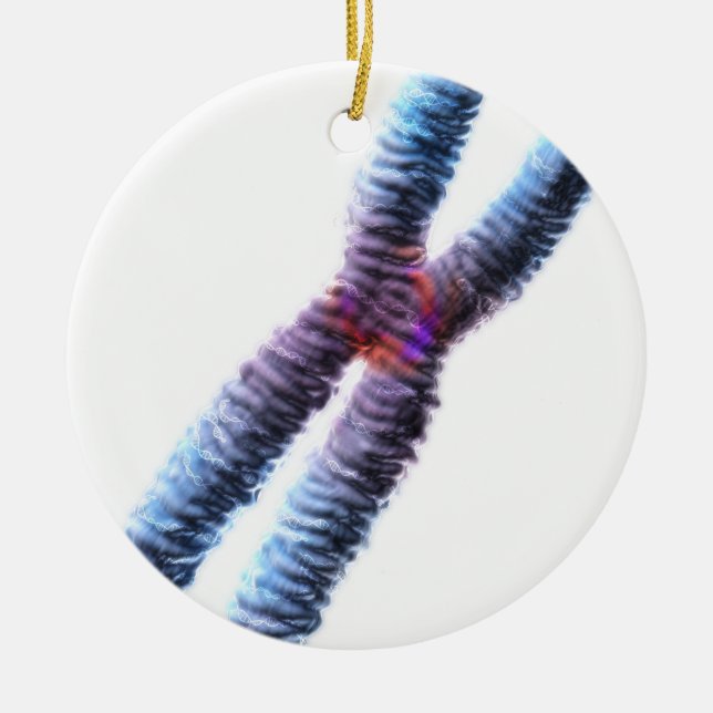 chromosome ceramic ornament (Front)