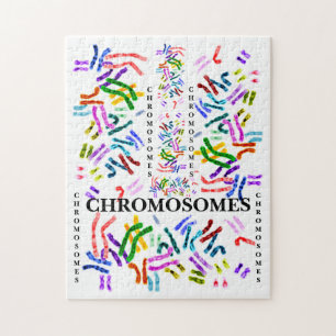 Chromosomes Challenging Fun for ages 10 and Up  Jigsaw Puzzle
