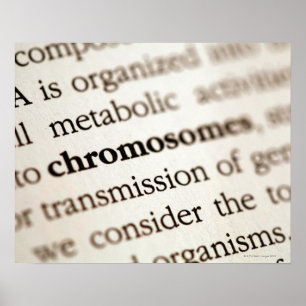 Chromosomes definition on page poster