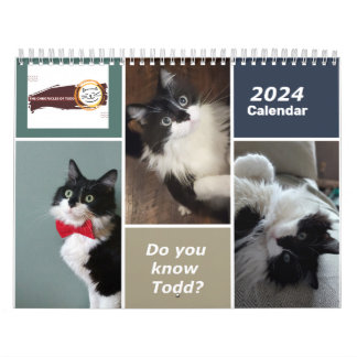 Chroniques du calendrier Todd 2024