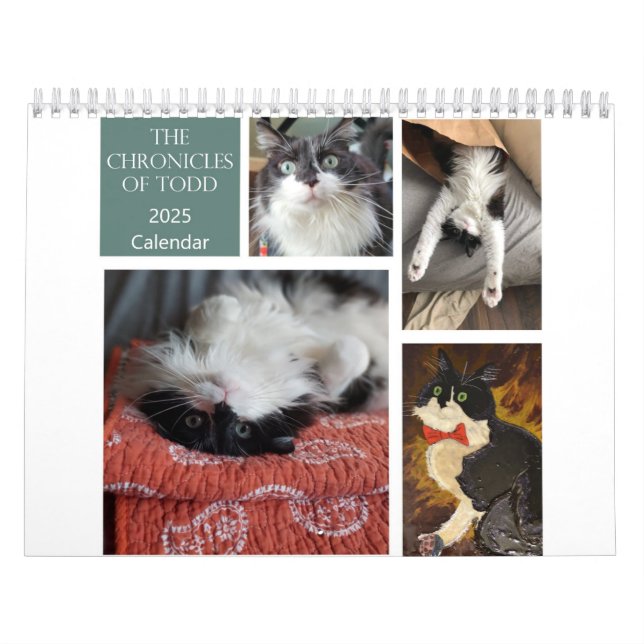 Chroniques du calendrier Todd 2025 (Protection)