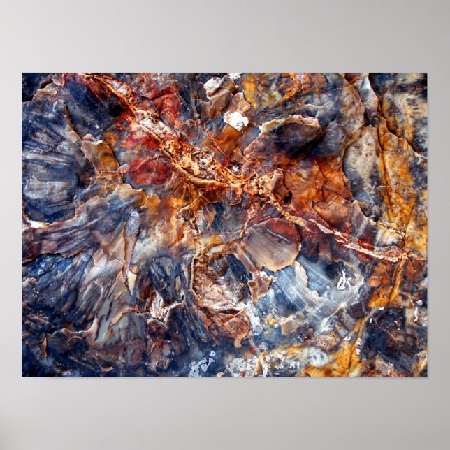 Chronologies Poster (Front)