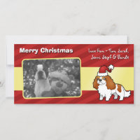 Chrstmas Cavalier King Charles Spaniel