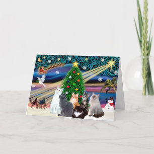 Chrstmas Magic - Six cats (variety) Holiday Card