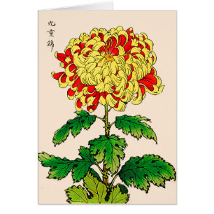 Chrysanthème japonais vintage. Jaune de moutarde