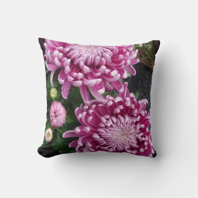 Chrysanthème rose foncé Coussin fleuri à fleurs (Recto)