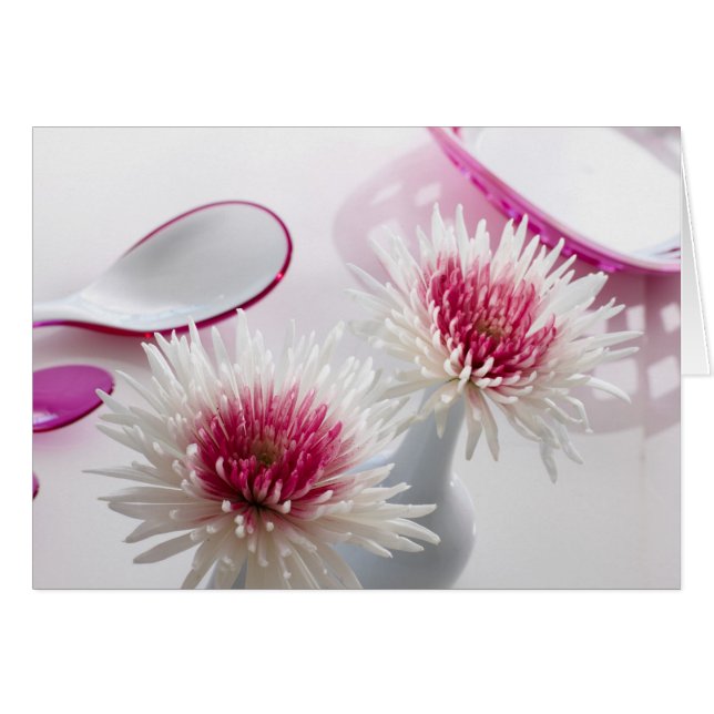 Chrysanthèmes (Devant horizontal)