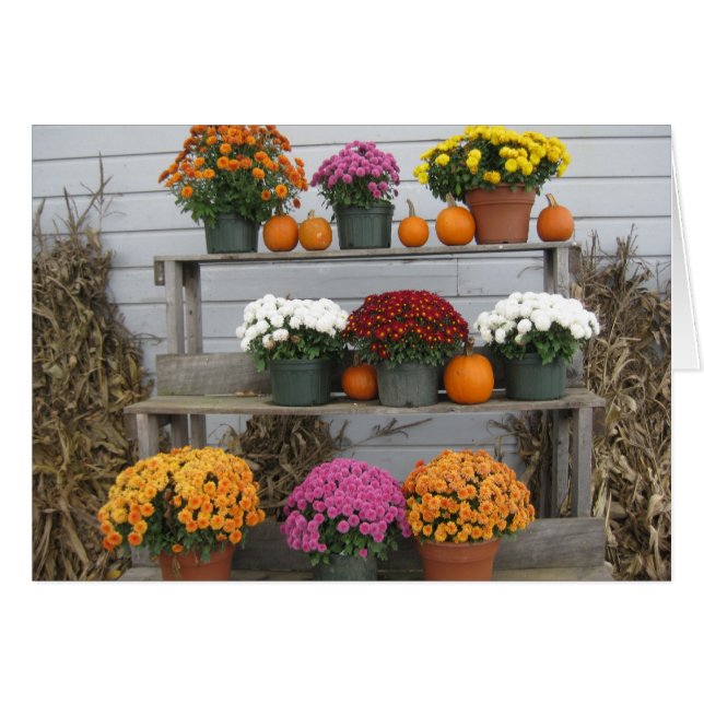 Chrysanthèmes avec citrouilles (Devant horizontal)