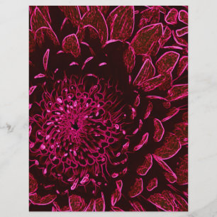 Chrysanthemum