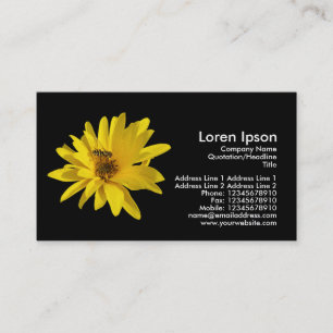Chrysanthemum and Hover Fly - Black Business Card