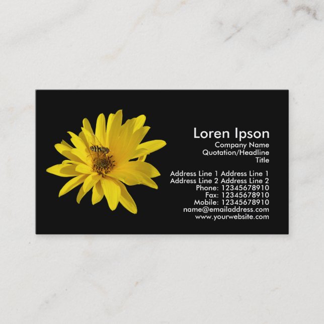 Chrysanthemum and Hover Fly - Black Business Card (Front)