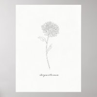 Chrysanthemum Art Print