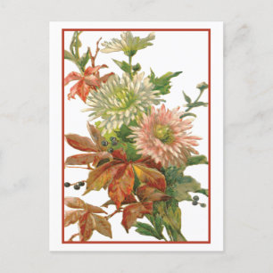 Chrysanthemum Autumn Fine Art Postcard