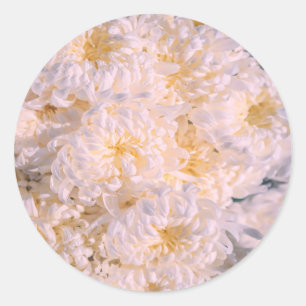 chrysanthemum bloom classic round sticker
