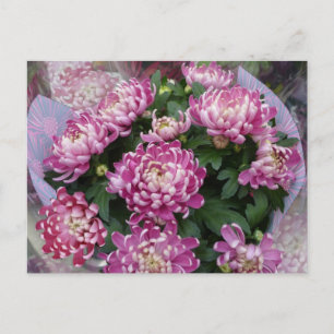 Chrysanthemum Bouquet Postcard