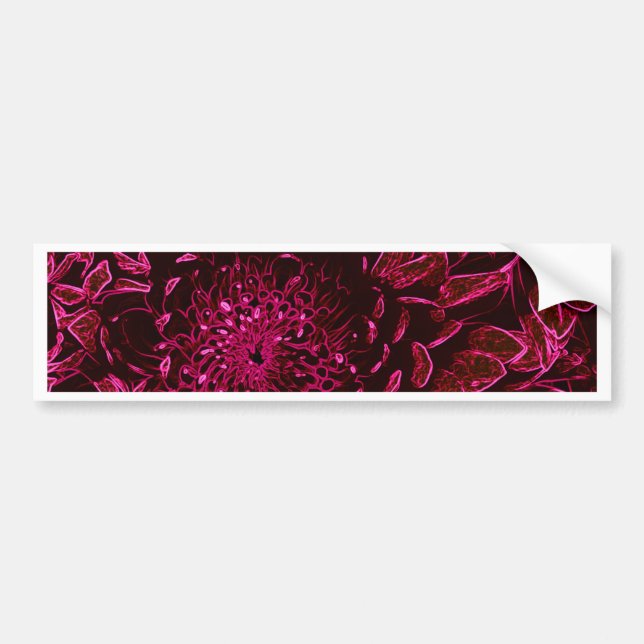Chrysanthemum Bumper Sticker (Front)