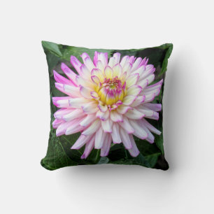Chrysanthemum, Bute Park, Cardiff, Wales Throw Pillow